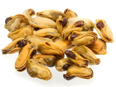 7.5. Choritos Enteros