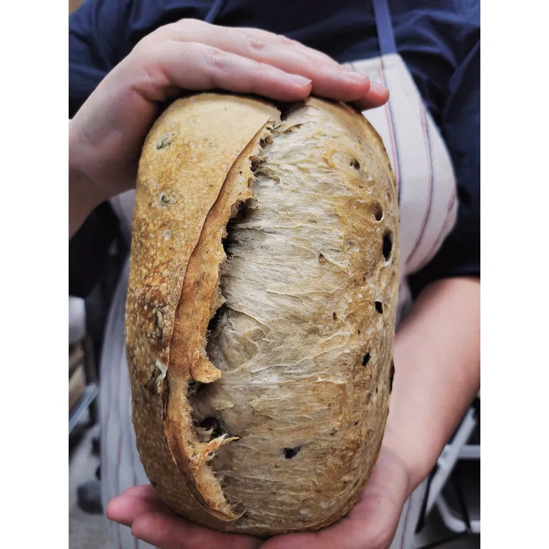 Batard aceitunas Batard aceitunas