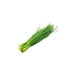 CIBOULETTE (1 UN)