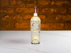 CP Sauvignon Blanc Odfjell - Armador - San Antonio