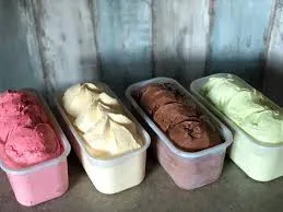 BACHA GRIDO SABORES MJ