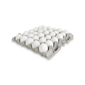HUEVOS (30 Un)