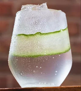 Gin Tonic