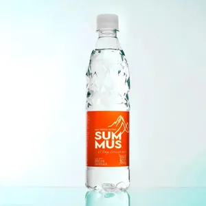 Agua 500ml Con Gas