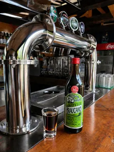 Shot Araucano