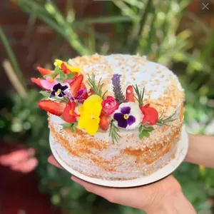 Torta Carrot Cake (15p) APLV, Sin Soya, Vegana