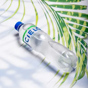 Agua Cielo Sin Gas 625ml