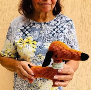 Perro salchicha