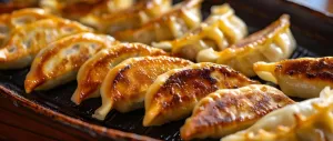Gyosas Pollo