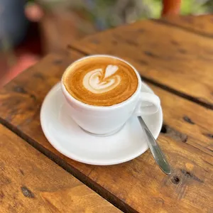 Café Moka Orgánico y Vegano, APLV.