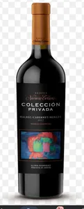 Botella de vino navarro correa