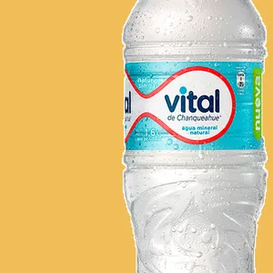 Vital c/n gas