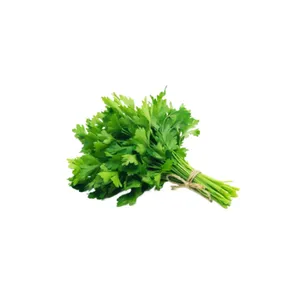 Cilantro 120 Gr