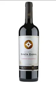 Santa digna