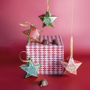 446 - Estrellita de Navidad 46 g