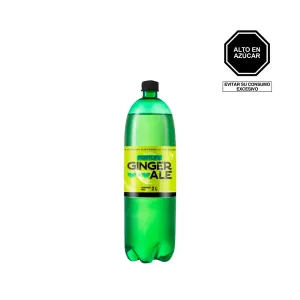 Bebida Carbonatada Fontlife Sabor Ginger Ale Botella 2Lts