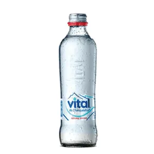 Agua Vital Sin Gas 330 ml