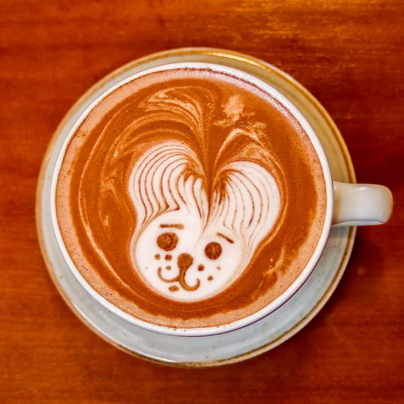 Chocolate caliente | 12 Oz