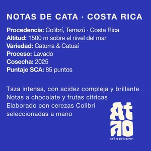 🇨🇷 COSTA RICA | Colibrí