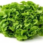 Lechuga unidad