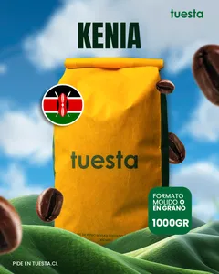 Kenia | Bungoma 1000 GR
