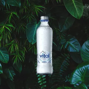 AGUA VITAL CON GAS