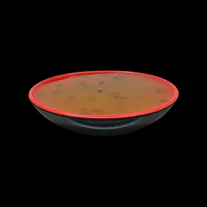 Salsa Maracuya