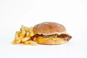 Cheese burger  + Fries