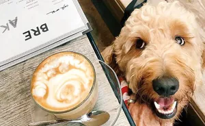 Imagen de diseño large