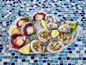 Trio de conchas frescas