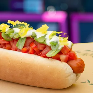 Perrito Chakrarero