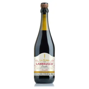 Lambrusco Tinto