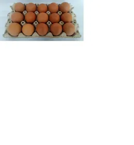 Huevos de Campo 15 unidades