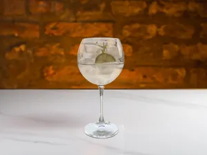 Gin Tonic Castillo