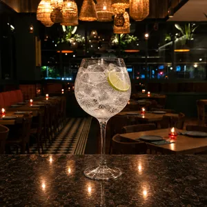 Gin Tonic Cero