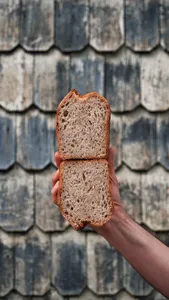 Pan de Campo