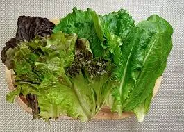 Lechuga