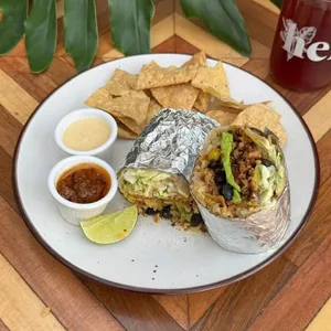 Burrito herbívoro