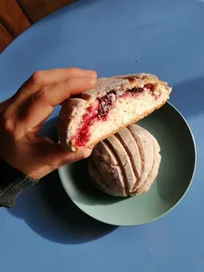 Concha Arándanos