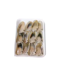 Machas Lengua Jumbo 12 unidades