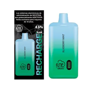 Vape Fume Recharge Plus 10000 Puff Blueberry Mint