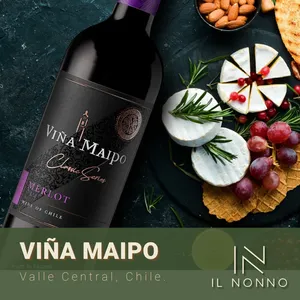Viña Maipo