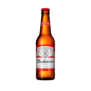 cerveza budweiser