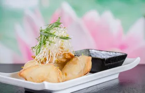 Gyozas de Verduras