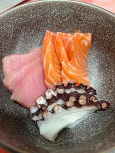 Sashimi mixto