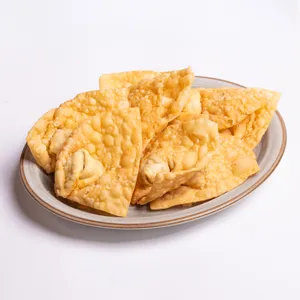 Wantán Frito Especial