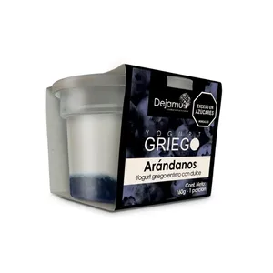 YOGURT GRIEGO DEJAMU 160G ARANDANOS