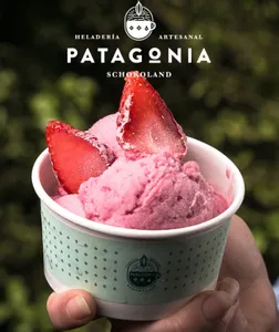 HELADO PATAGONIA 130 ml