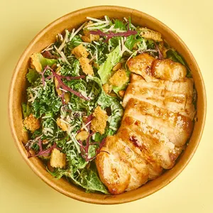 Ensalada César Miso con Pollo