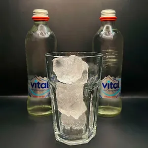 Agua Vital s/gas